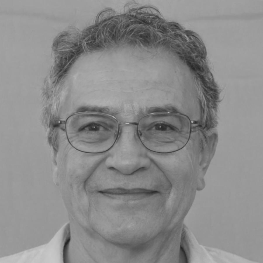 Director de Metodología